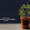 Real Estate Photography for Apartments - Image 7